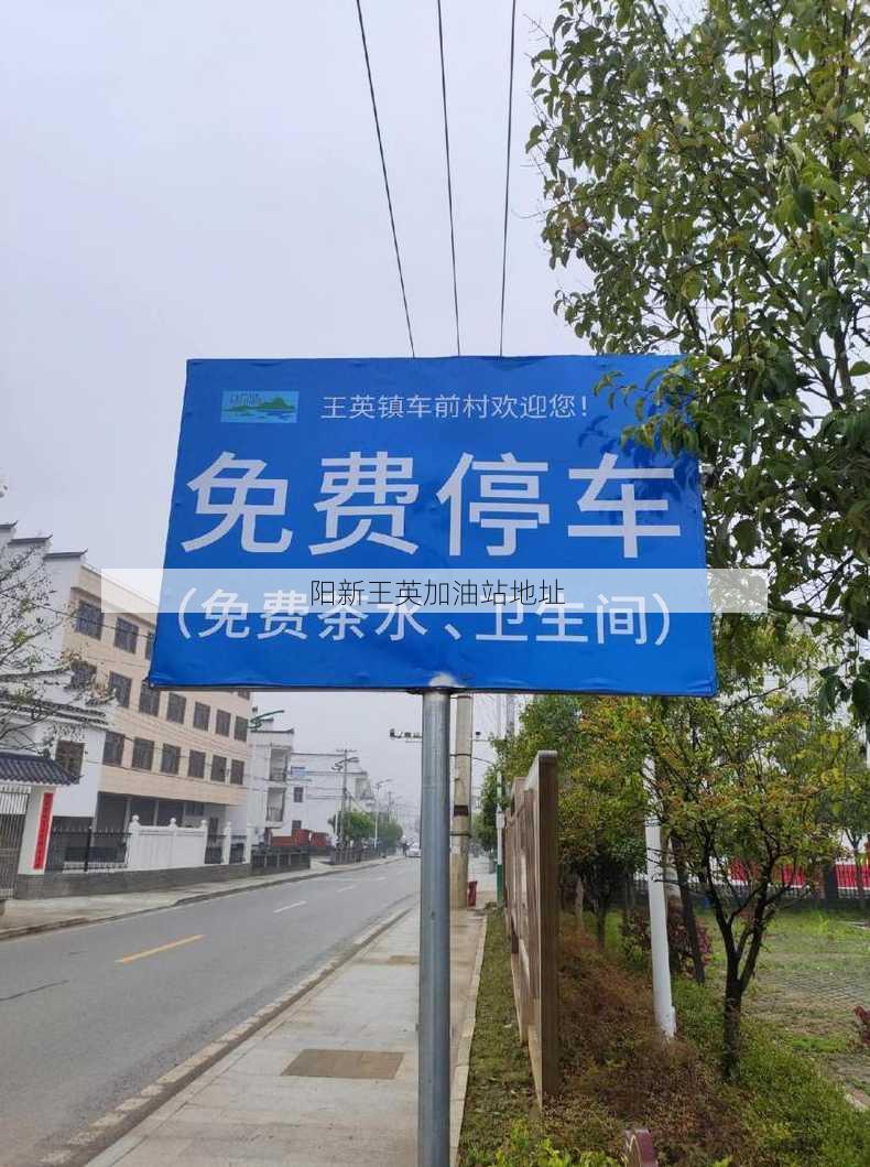 阳新王英加油站地址