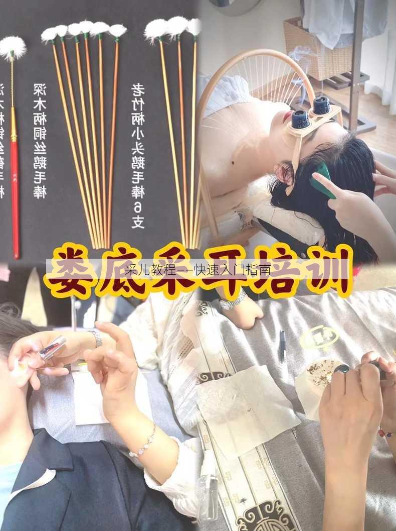 采儿教程——快速入门指南