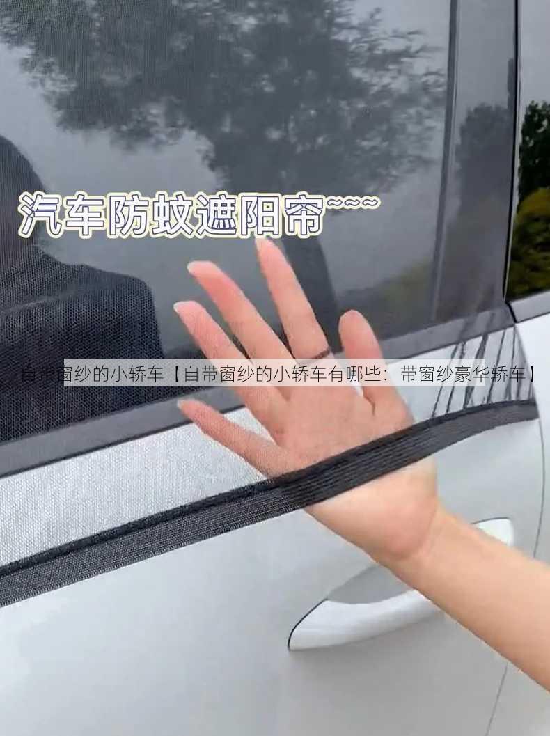 自带窗纱的小轿车【自带窗纱的小轿车有哪些：带窗纱豪华轿车】