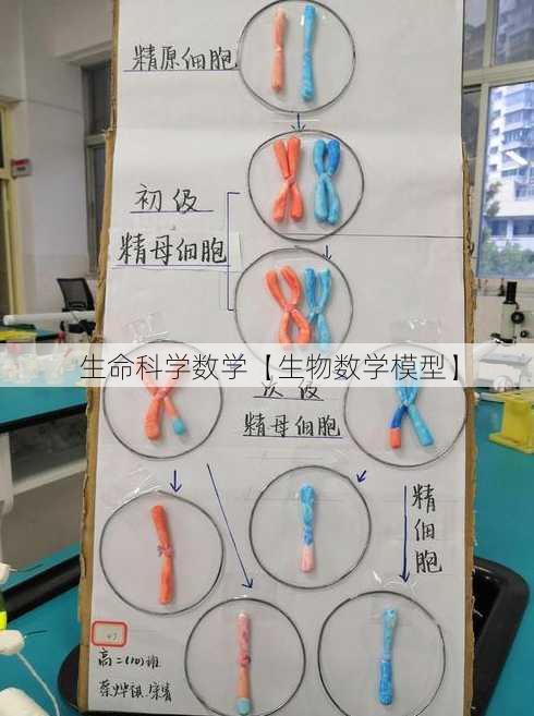 生命科学数学【生物数学模型】