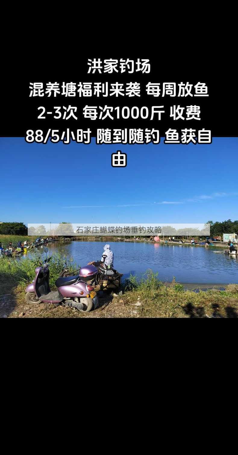 石家庄蝴蝶钓场垂钓攻略