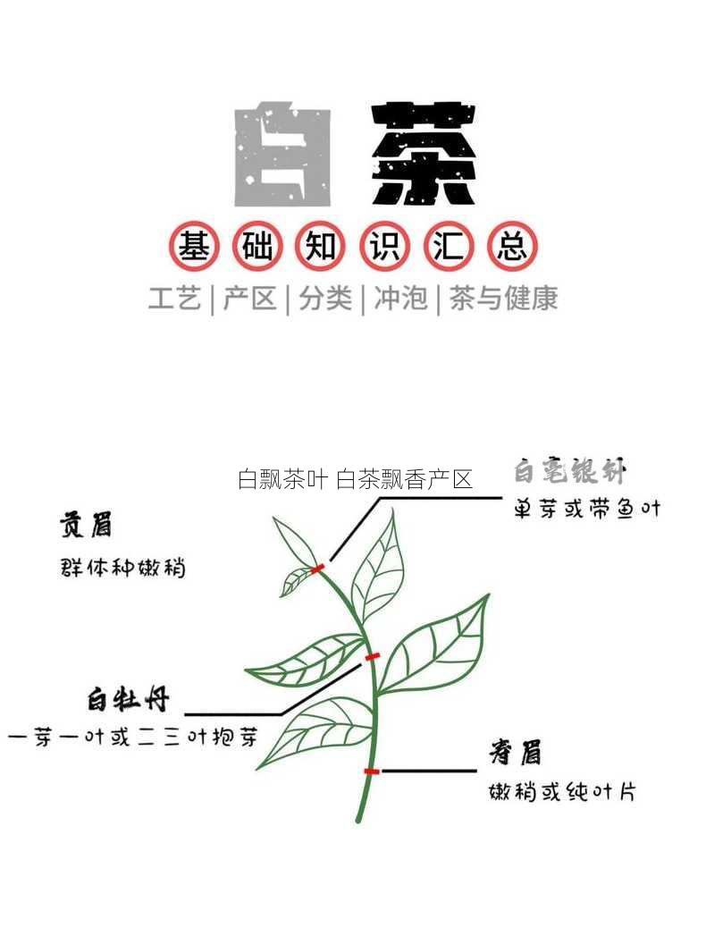 白飘茶叶 白茶飘香产区