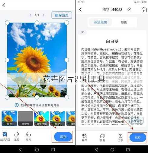 花卉图片识别工具