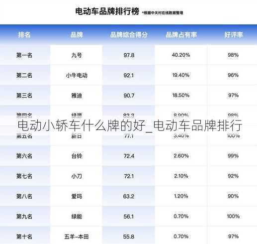 电动小轿车什么牌的好_电动车品牌排行