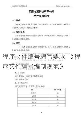 程序文件编号编写要求-《程序文件编号编制规范》