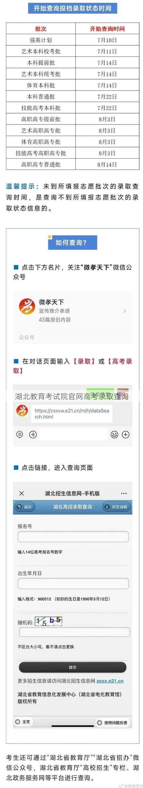 湖北教育考试院官网高考录取查询