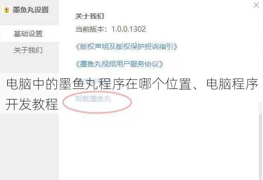 电脑中的墨鱼丸程序在哪个位置、电脑程序开发教程