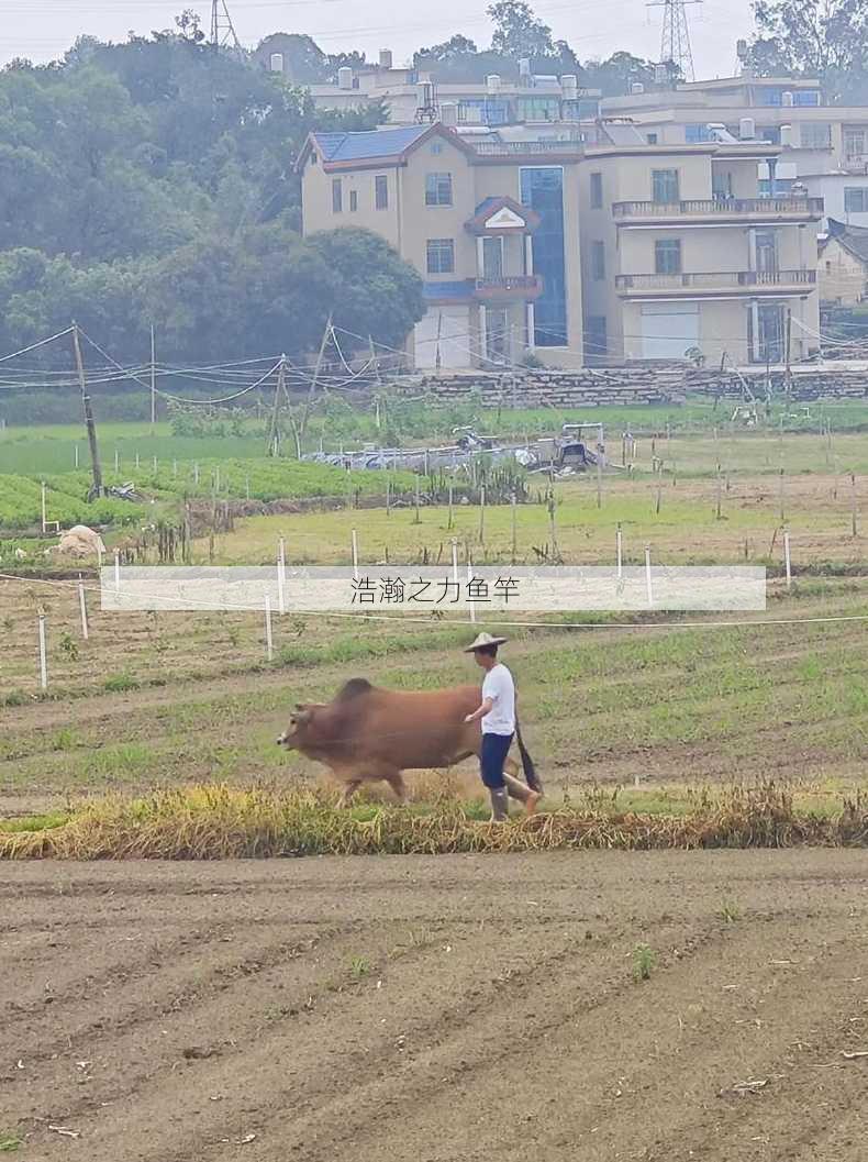 浩瀚之力鱼竿