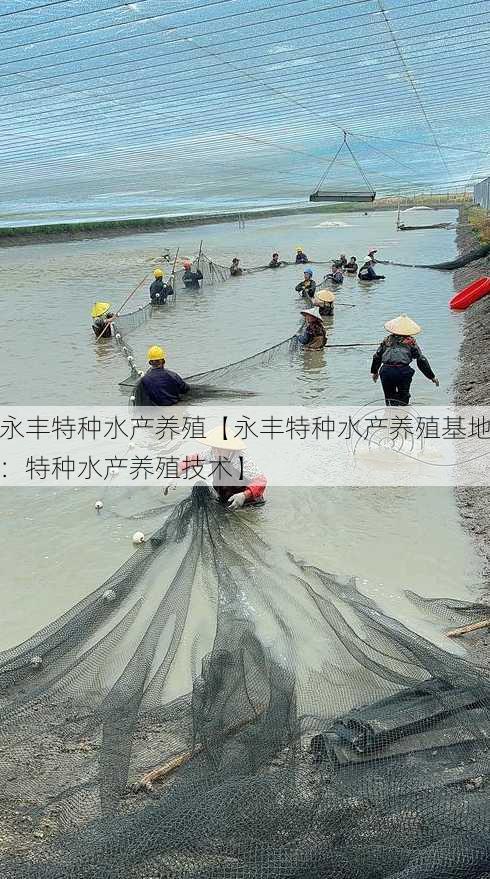 永丰特种水产养殖【永丰特种水产养殖基地：特种水产养殖技术】