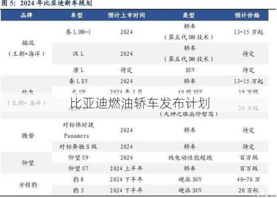 比亚迪燃油轿车发布计划