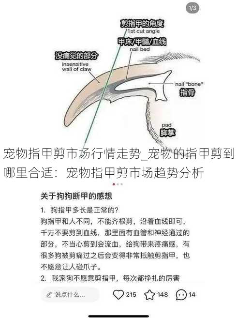 宠物指甲剪市场行情走势_宠物的指甲剪到哪里合适：宠物指甲剪市场趋势分析