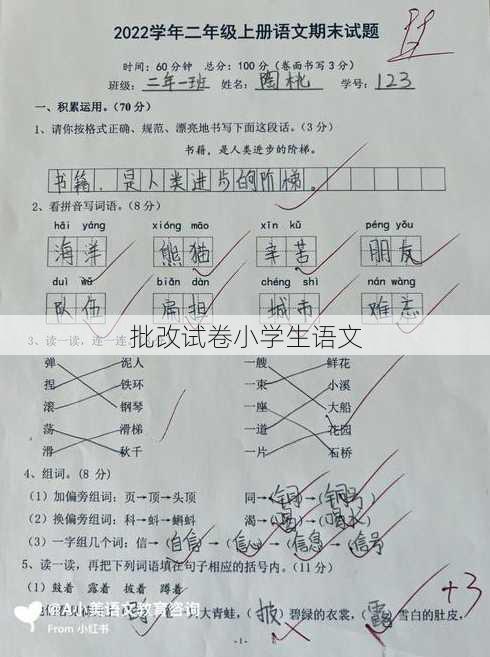 批改试卷小学生语文