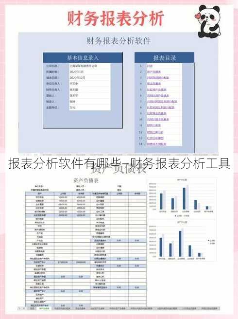 报表分析软件有哪些—财务报表分析工具