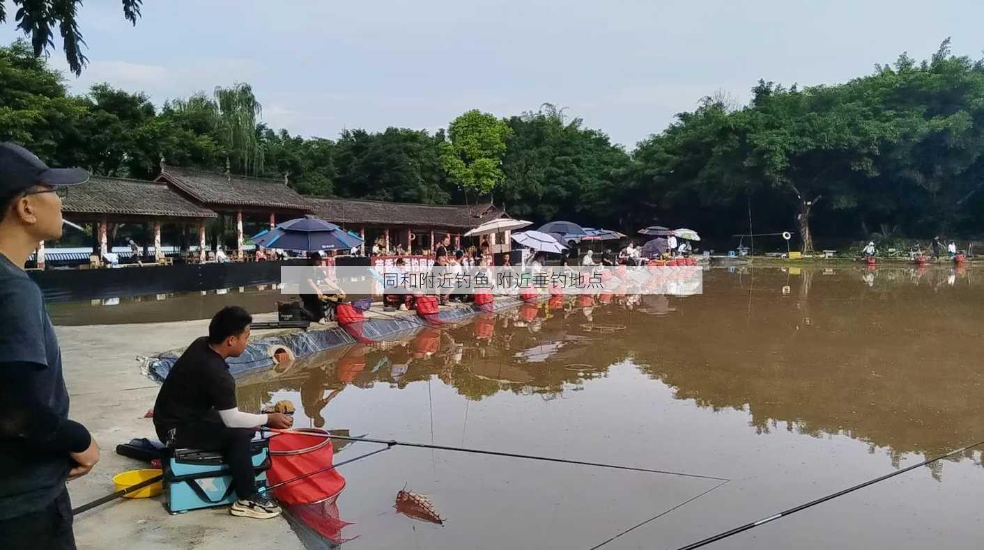 同和附近钓鱼,附近垂钓地点