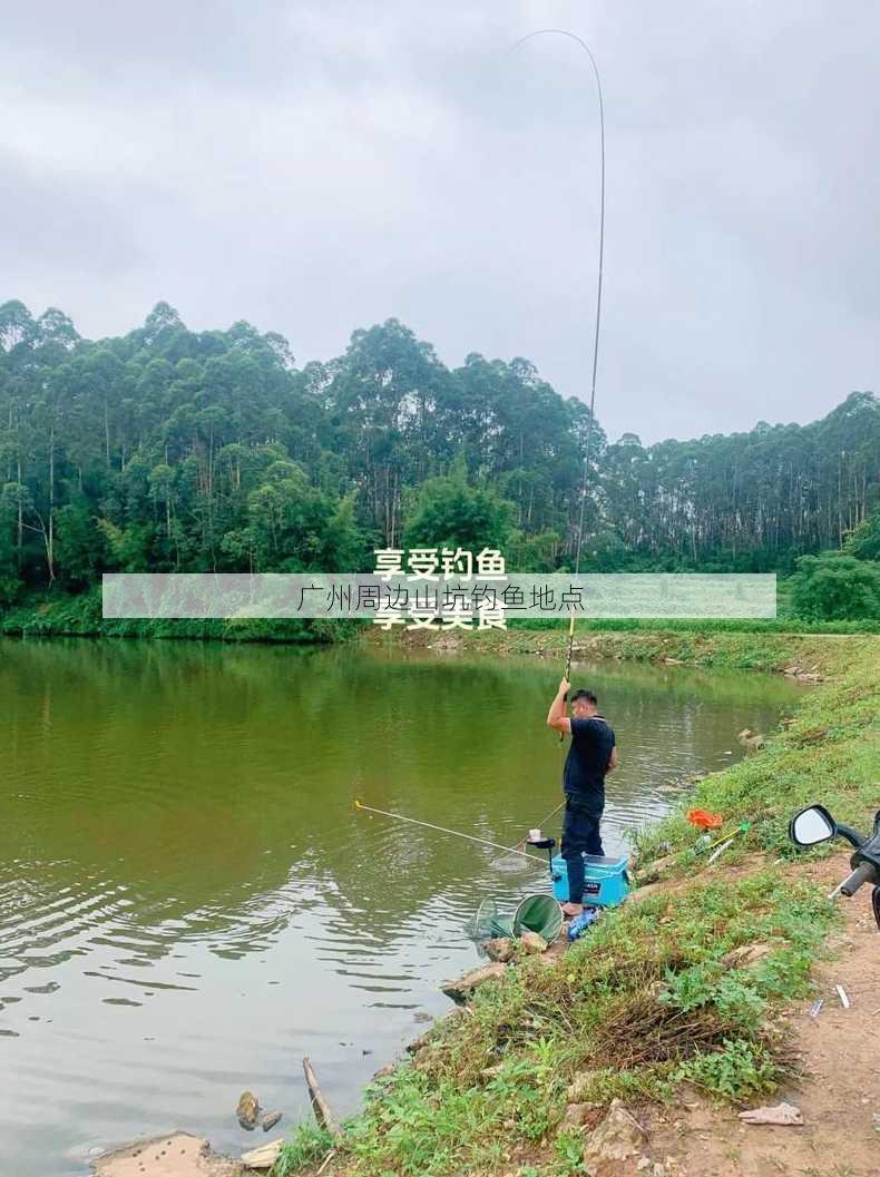 广州周边山坑钓鱼地点