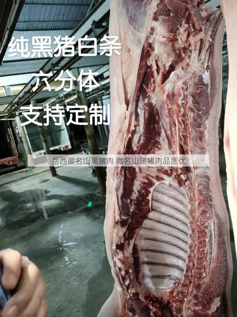 岳西徽名山黑猪肉 微名山黑猪肉品质优