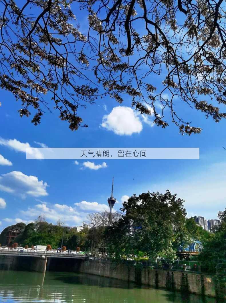 天气晴朗，留在心间