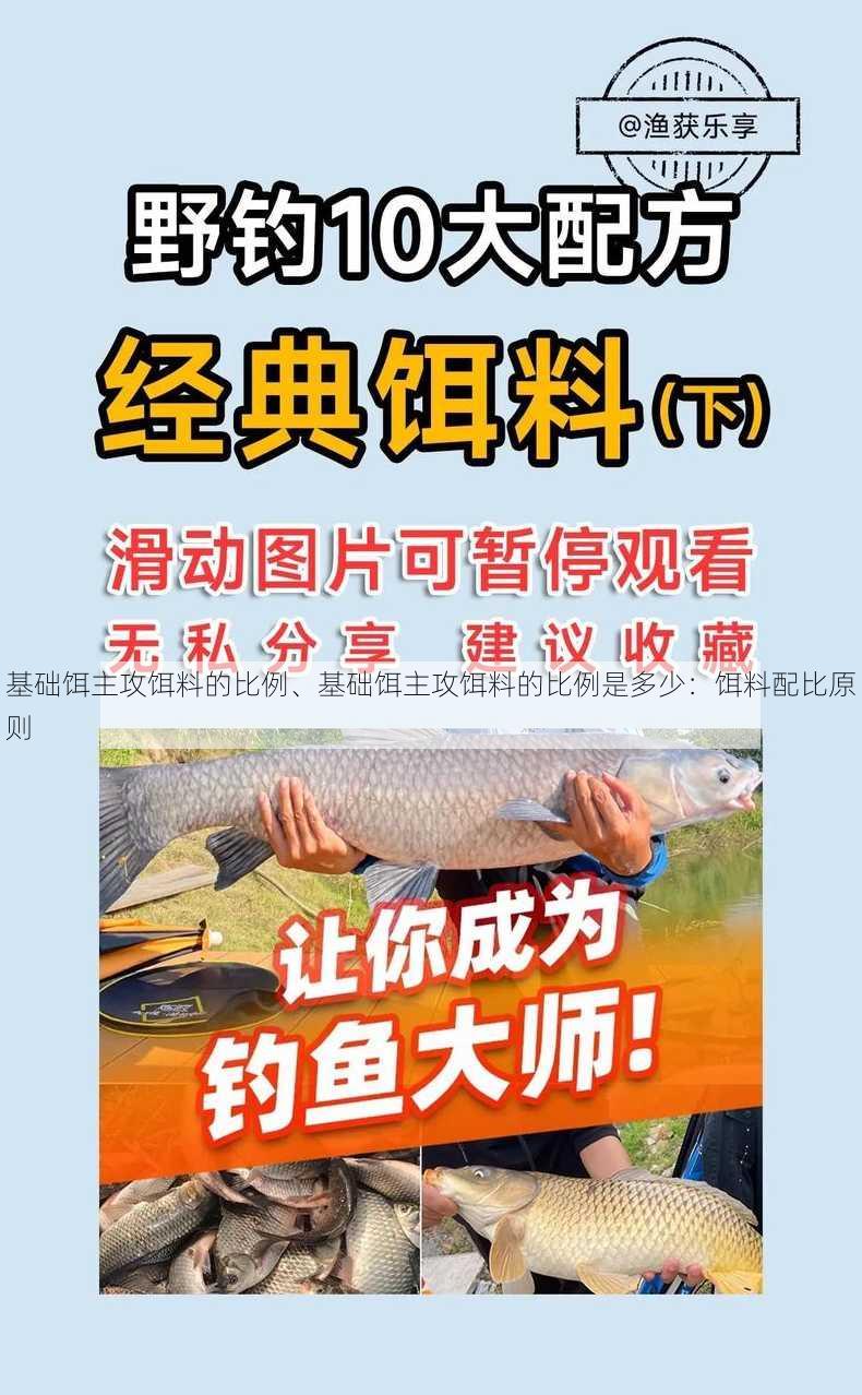 基础饵主攻饵料的比例、基础饵主攻饵料的比例是多少：饵料配比原则