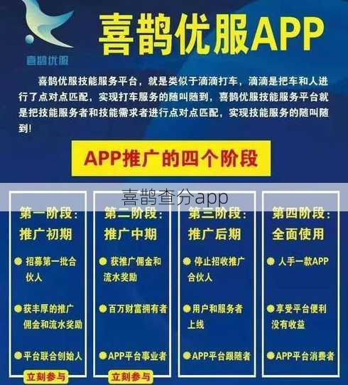 喜鹊查分app