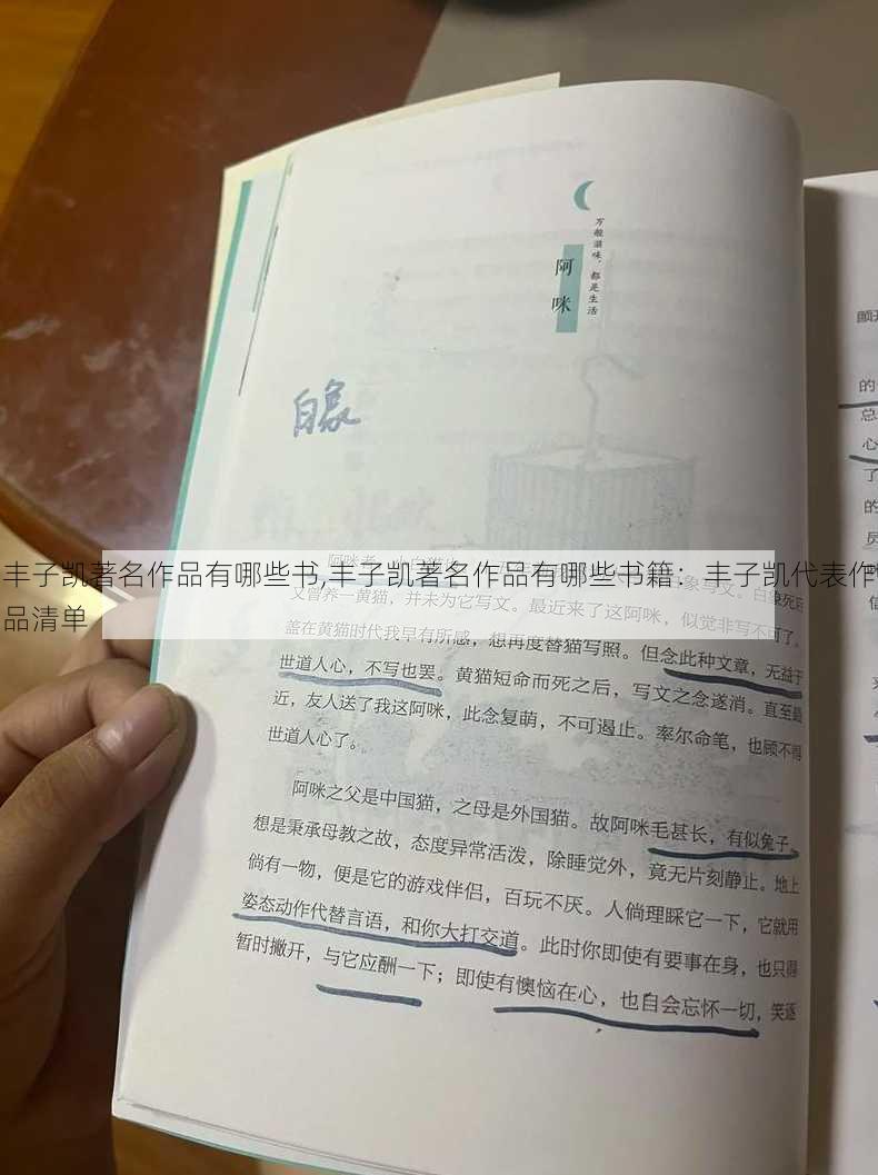 丰子凯著名作品有哪些书,丰子凯著名作品有哪些书籍：丰子凯代表作品清单