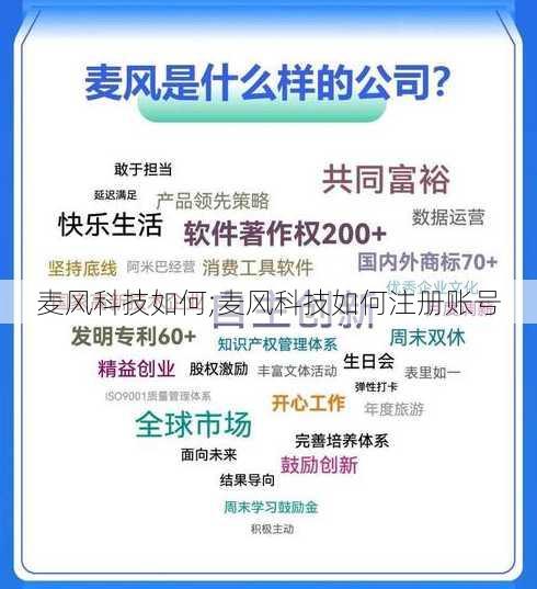 麦风科技如何;麦风科技如何注册账号