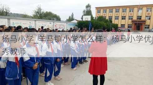 杨马小学_羊马镇小学怎么样：杨马小学优秀教师