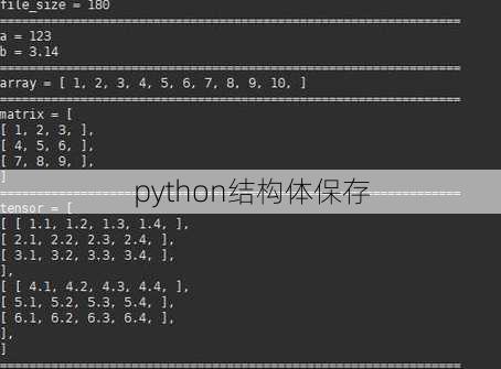 python结构体保存