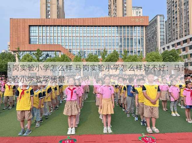 马岗实验小学怎么样 马岗实验小学怎么样好不好：马岗实验小学教学质量