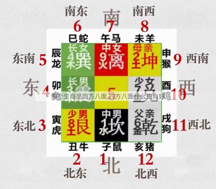 那个生肖是四方八面,四方八面什么生肖好