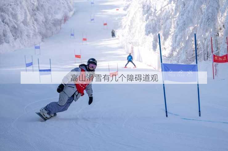 高山滑雪有几个障碍道观