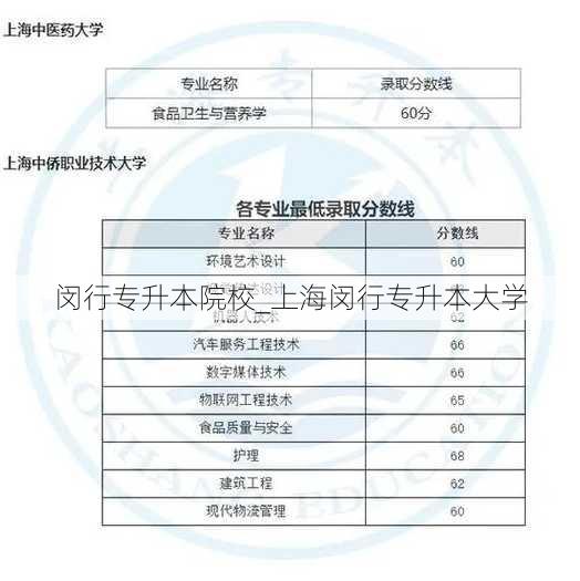 闵行专升本院校_上海闵行专升本大学