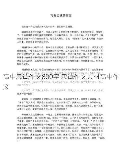 高中忠诚作文800字 忠诚作文素材高中作文