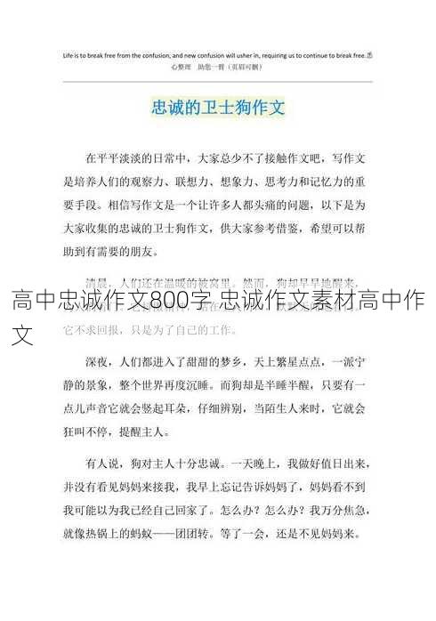 高中忠诚作文800字 忠诚作文素材高中作文