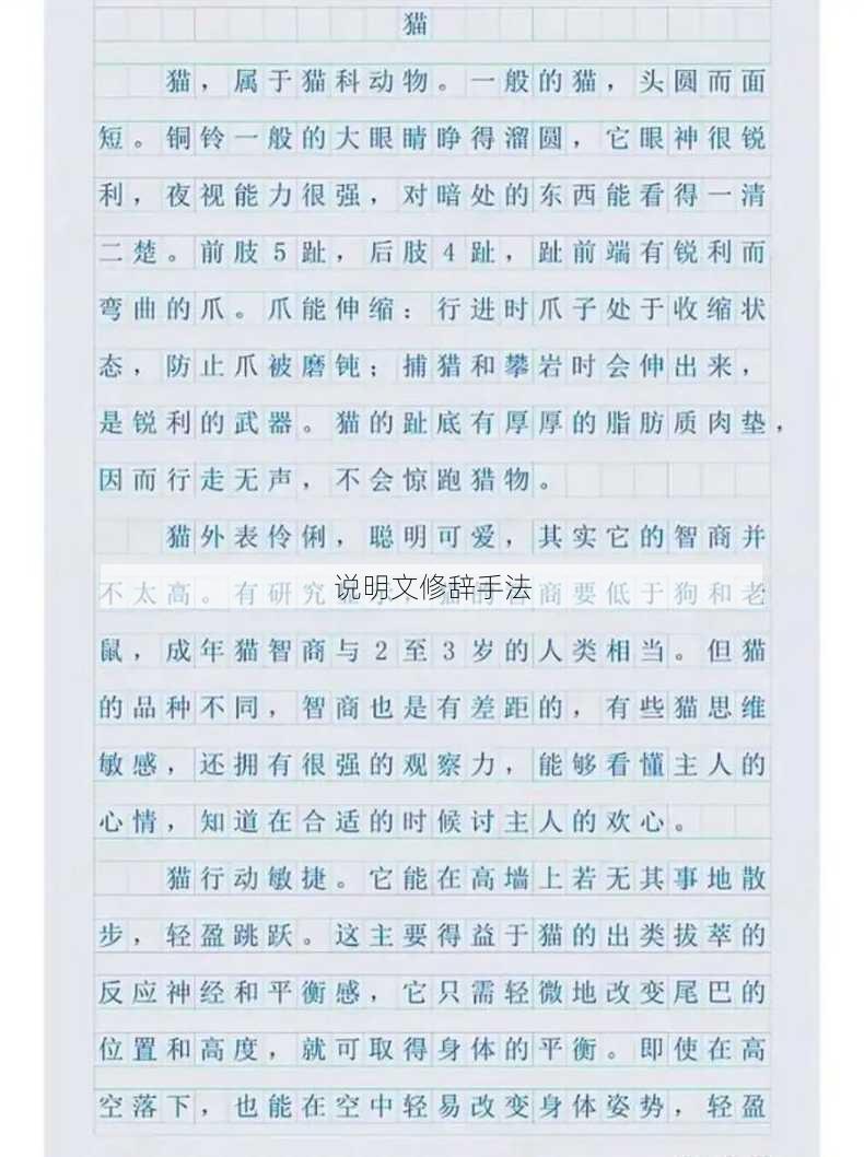 说明文修辞手法