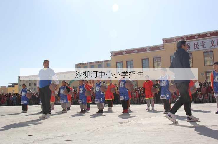 沙柳河中心小学招生