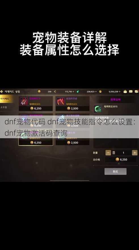 dnf宠物代码 dnf宠物技能指令怎么设置：dnf宠物激活码查询