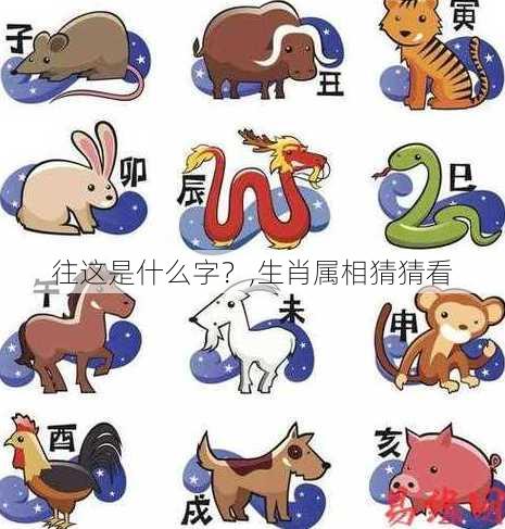 往这是什么字？,生肖属相猜猜看