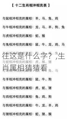 往这是什么字？,生肖属相猜猜看