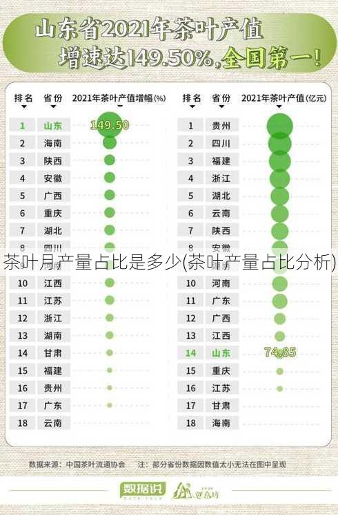 茶叶月产量占比是多少(茶叶产量占比分析)