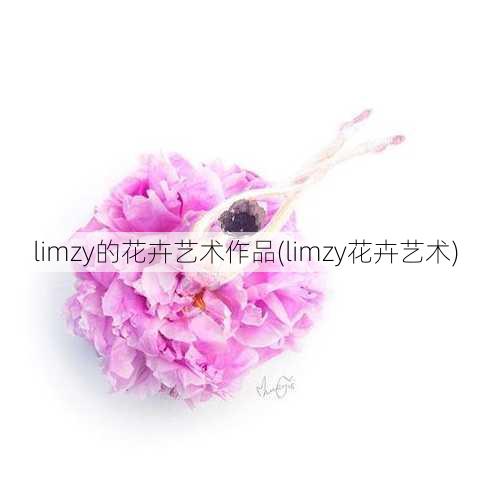 limzy的花卉艺术作品(limzy花卉艺术)