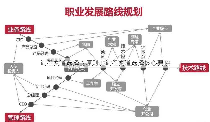 编程赛道选择的原则、编程赛道选择核心要素