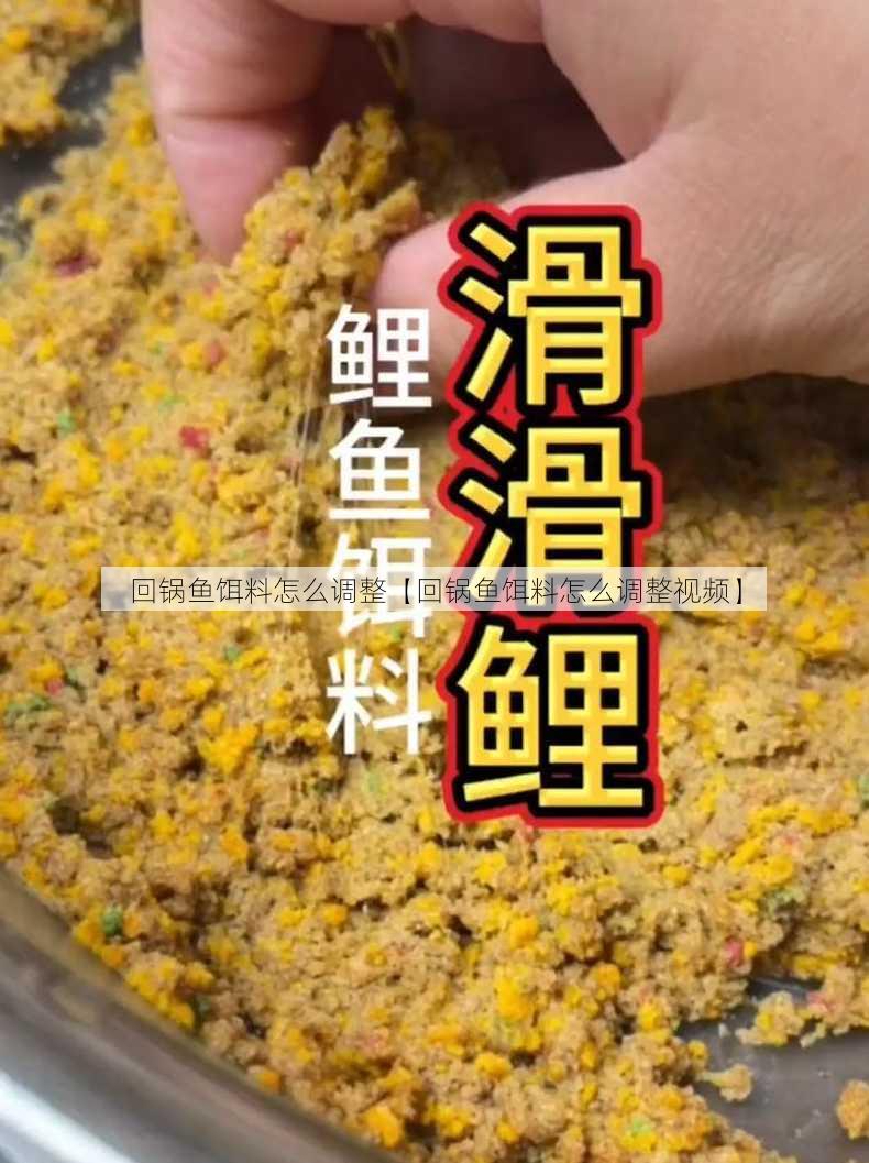 回锅鱼饵料怎么调整【回锅鱼饵料怎么调整视频】