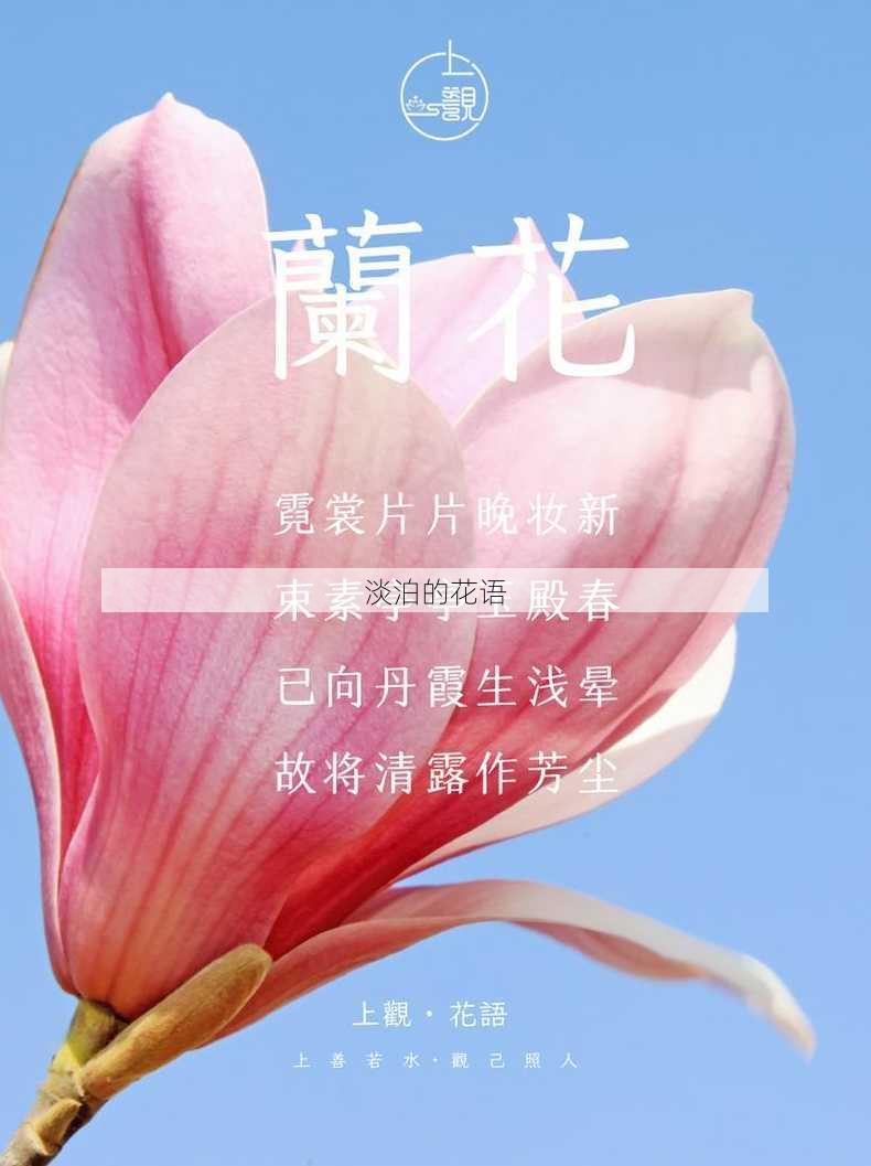 淡泊的花语