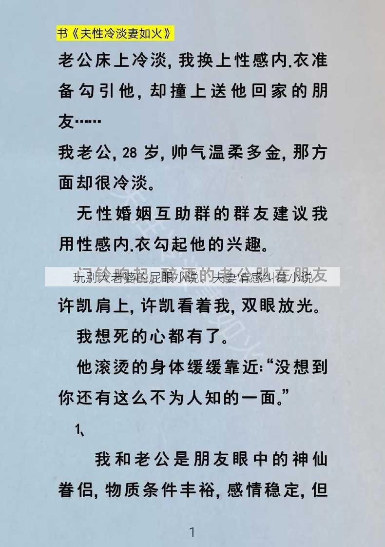 玩别人老婆的屁眼小说、夫妻情感纠葛小说