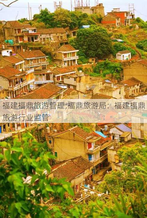 福建福鼎旅游管理;福鼎旅游局：福建福鼎旅游行业监管