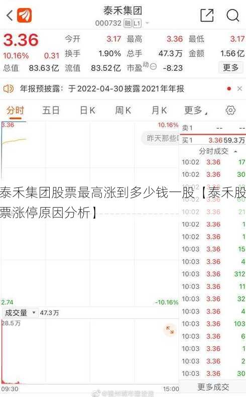 泰禾集团股票最高涨到多少钱一股【泰禾股票涨停原因分析】