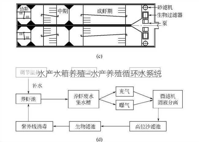 水产水箱养殖—水产养殖循环水系统