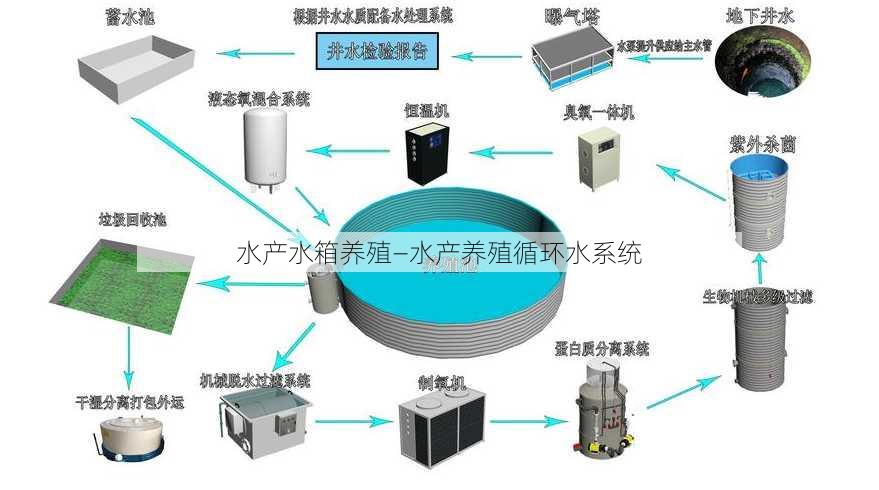 水产水箱养殖—水产养殖循环水系统