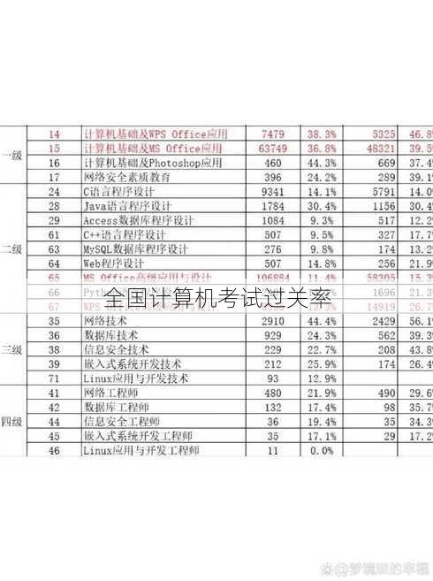 全国计算机考试过关率