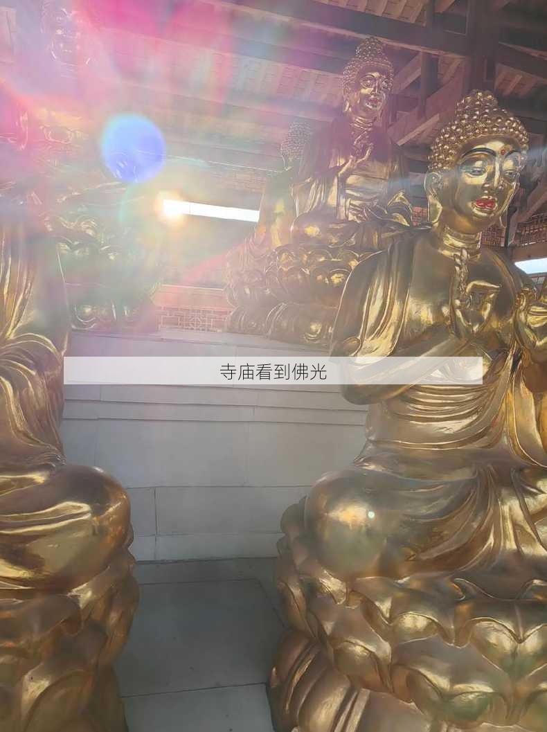 寺庙看到佛光